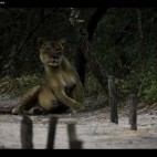 Snapshot of video