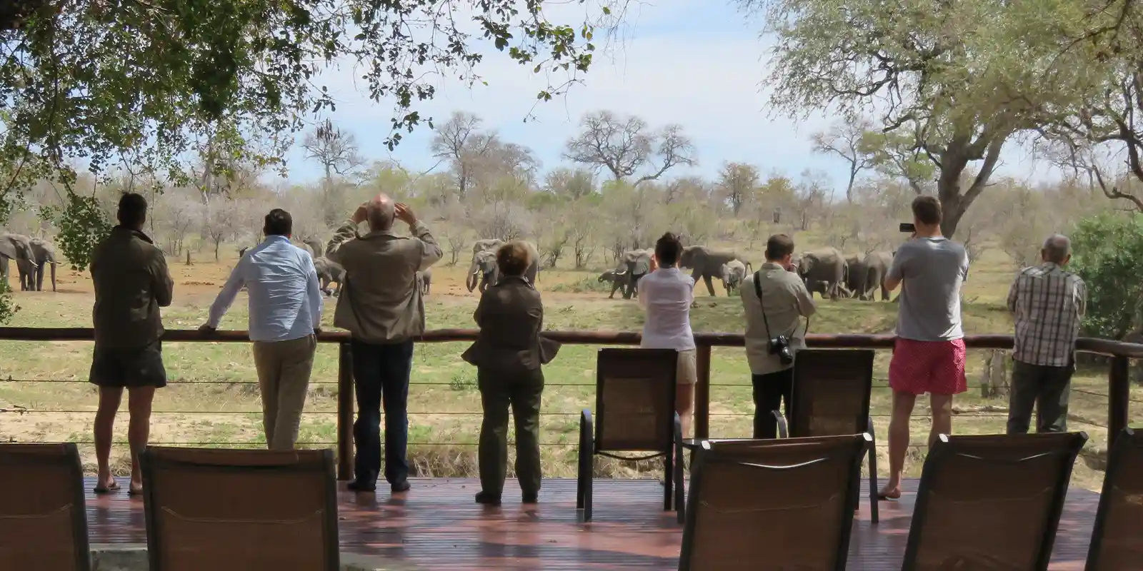 Guests gathering around the waterhole at Senalala Safari Lodge in South Africa