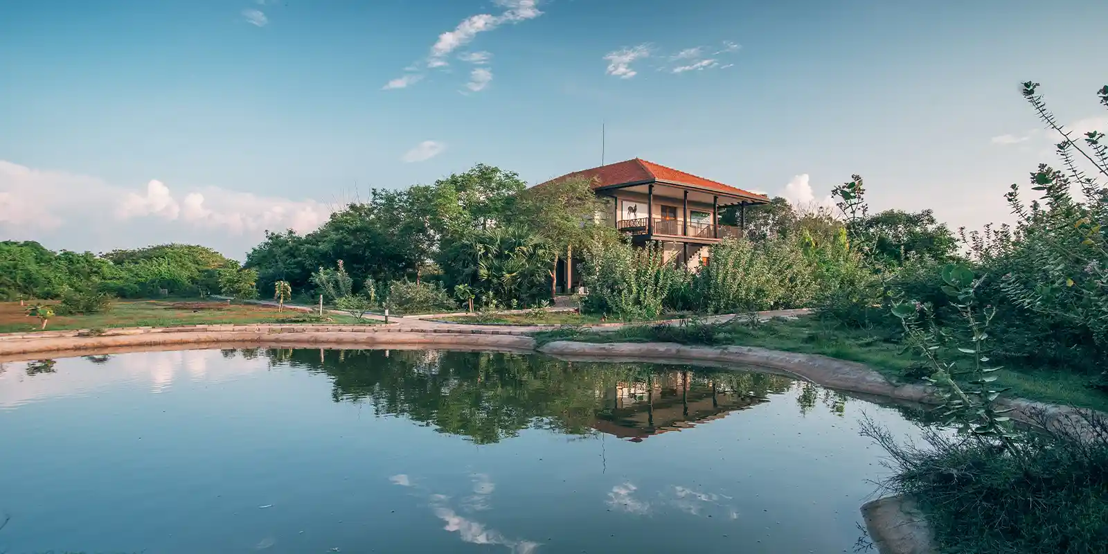 Exterior view of Palmyrah House, with swimming pool, in Sri Lanka.