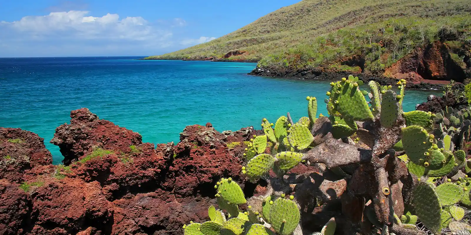 Landscape in the Galapagos Islands