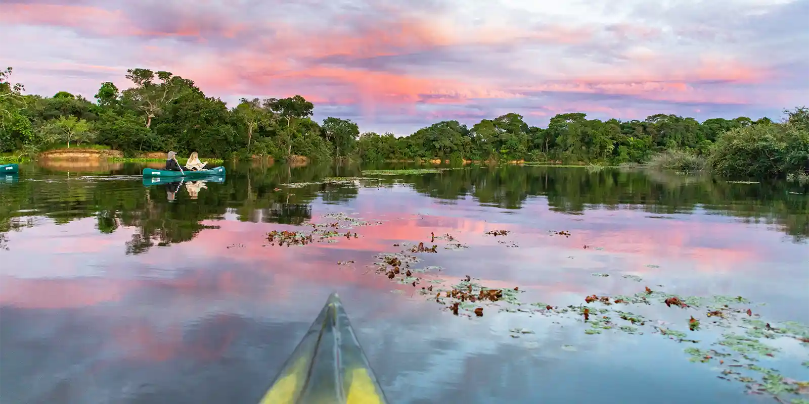 Fazenda Barranco Alto in the South Pantanal, Brazil.