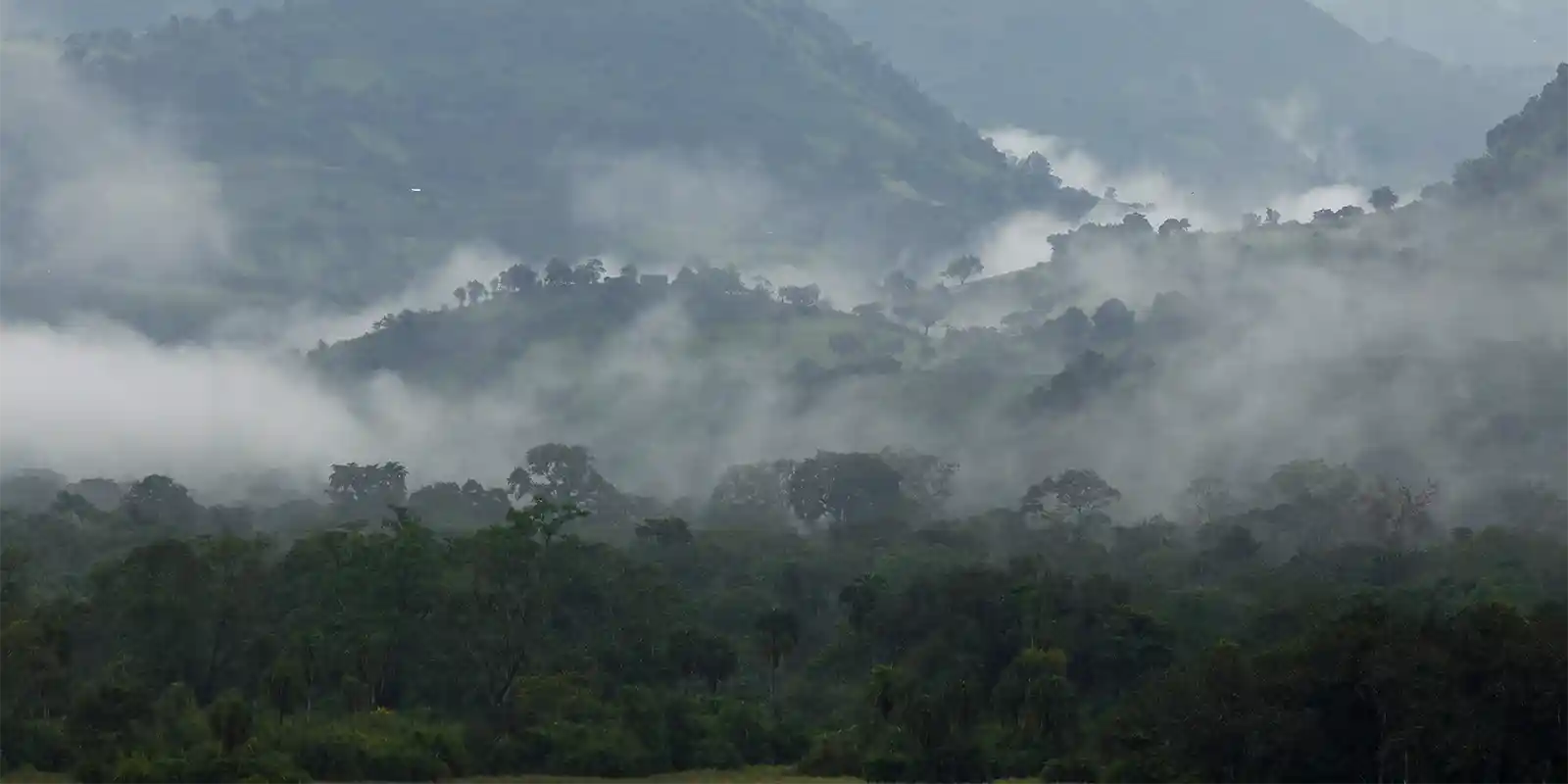 Chebera National Park in Ethiopia