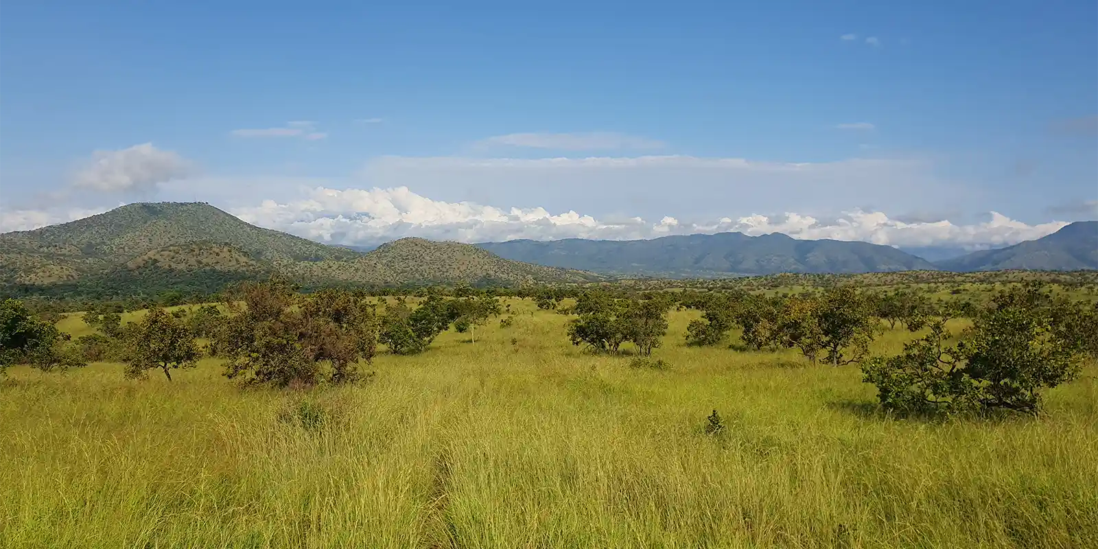 Maze National Park in Ethiopia