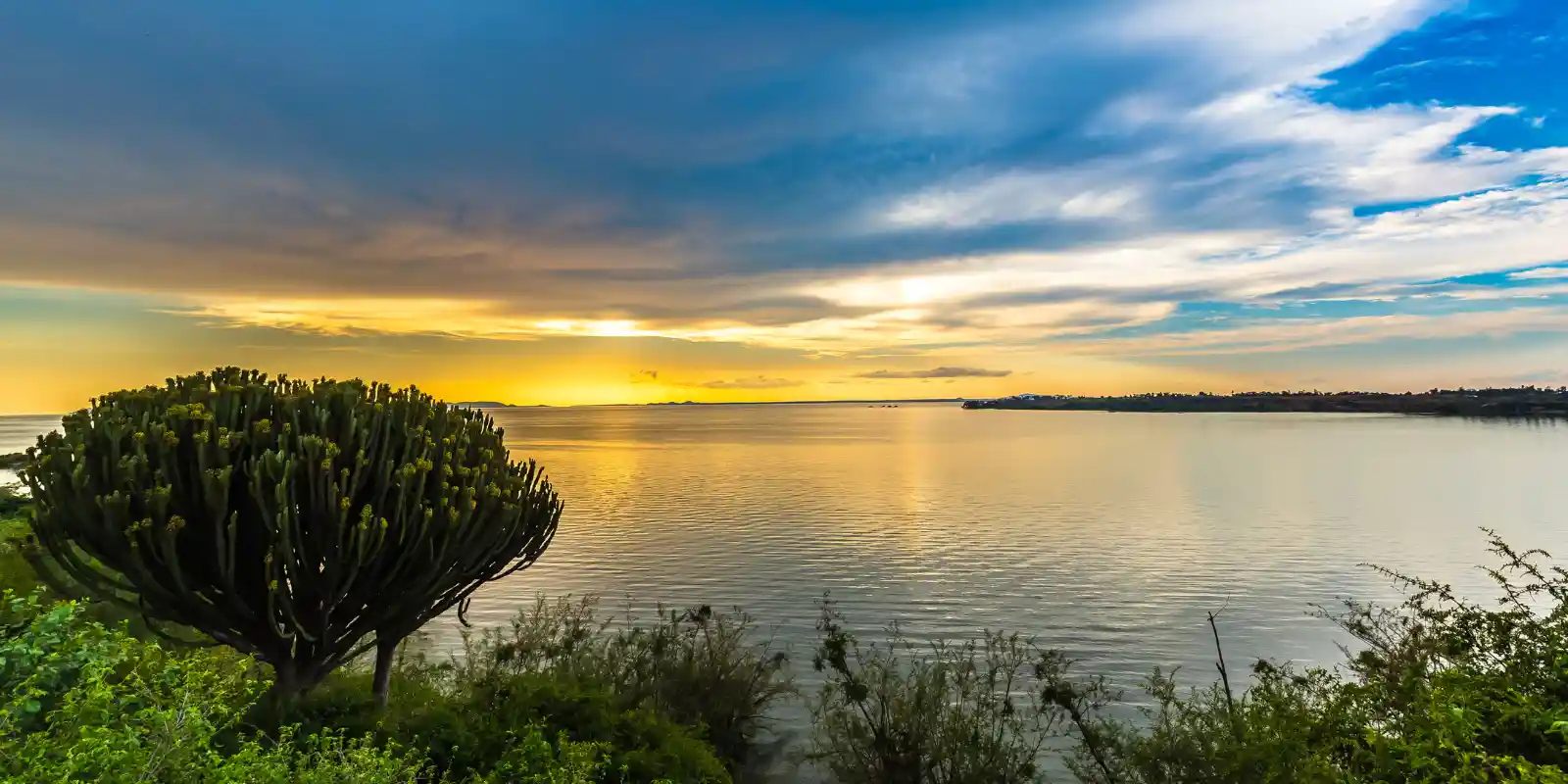 View of Lake Victoria at sunset.