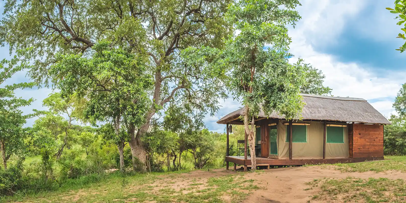 Shindzela Tented Safari Camp in Timbavati Private Game Reserve, South Africa 