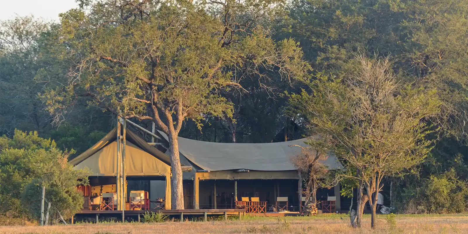 Rhino Plains Camp in South Africa.