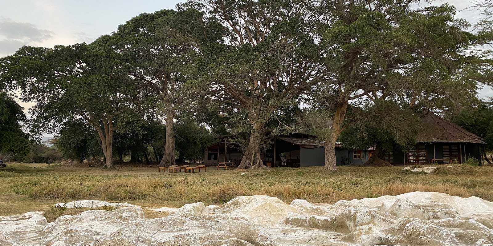 Hara Langano Eco Lodge in Ethiopia