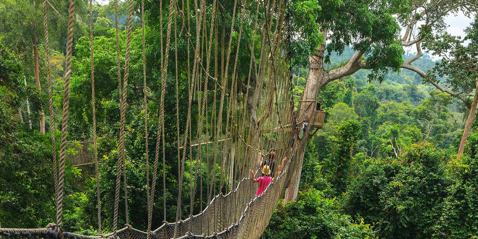 People crossing a canopy walk in Kakum National Park, Ghana