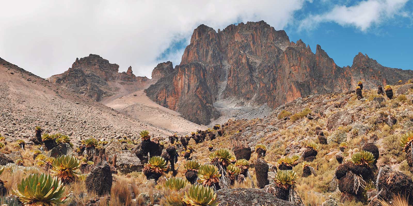 Mount Kenya peak