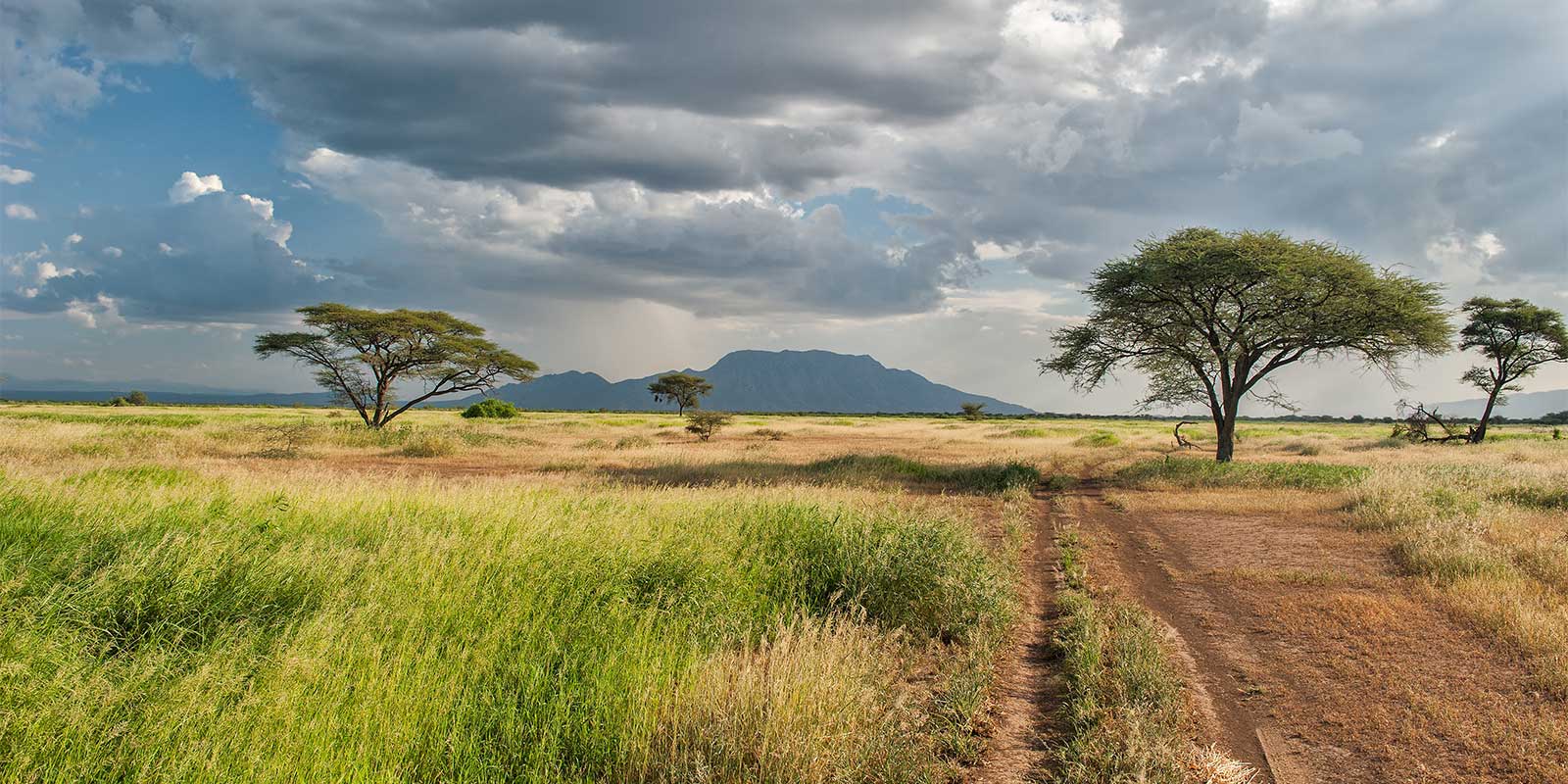 Private conservancy in Kenya