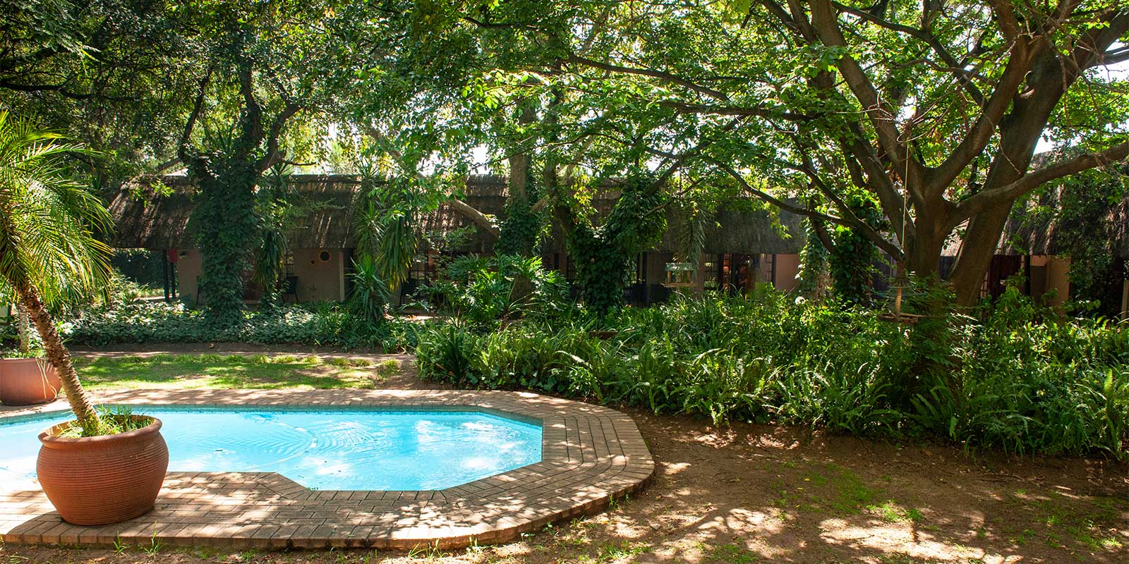 Swimming pool at The Safari Club in Johannesburg, South Africa
