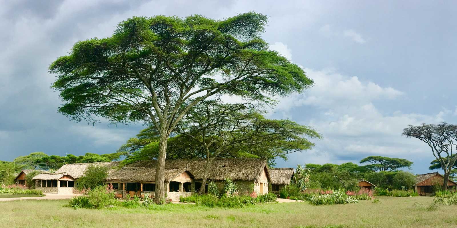 Ndutu Safari Lodge in Tanzania