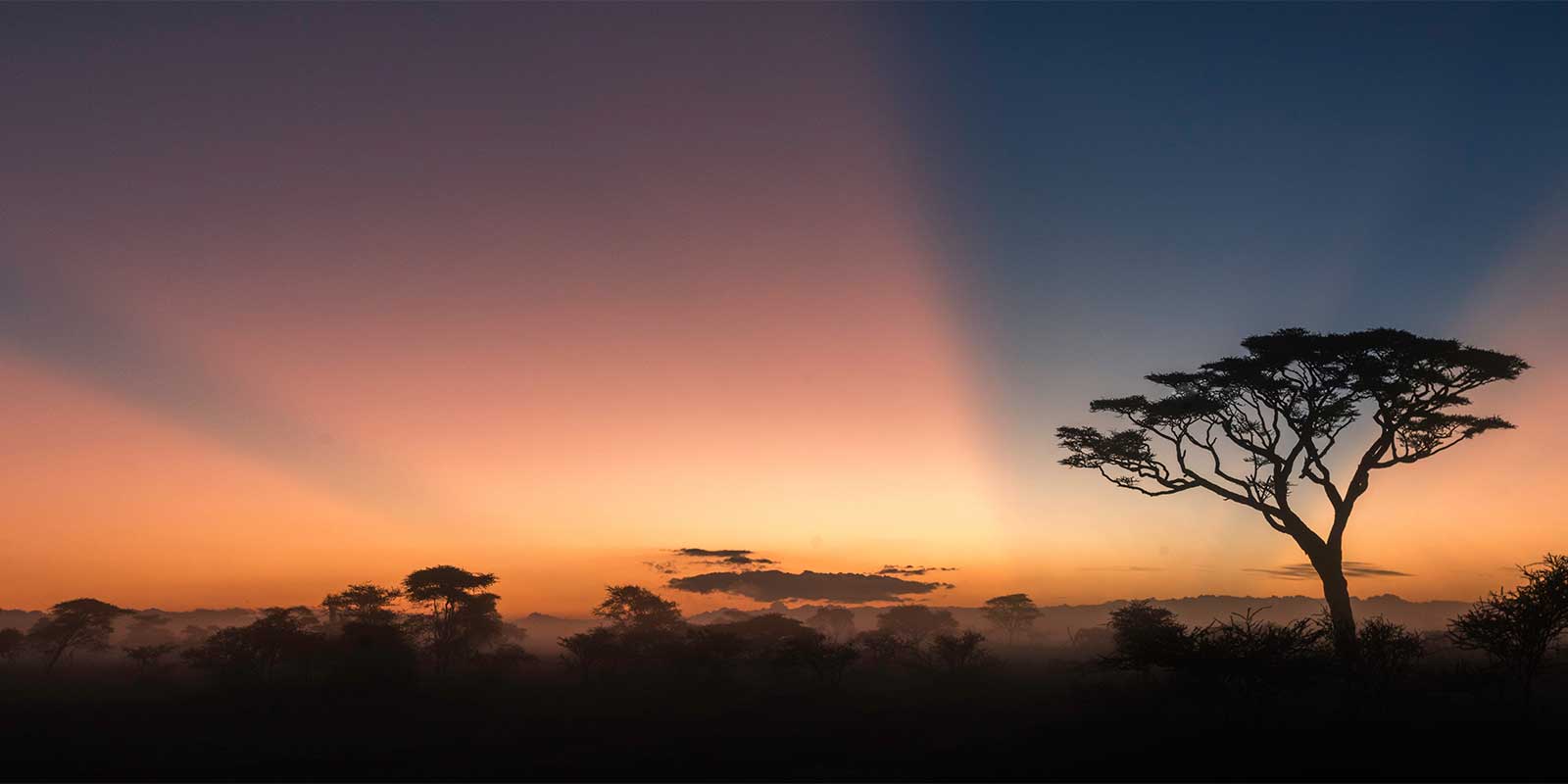 Sunrise in Ndutu, Tanzania.