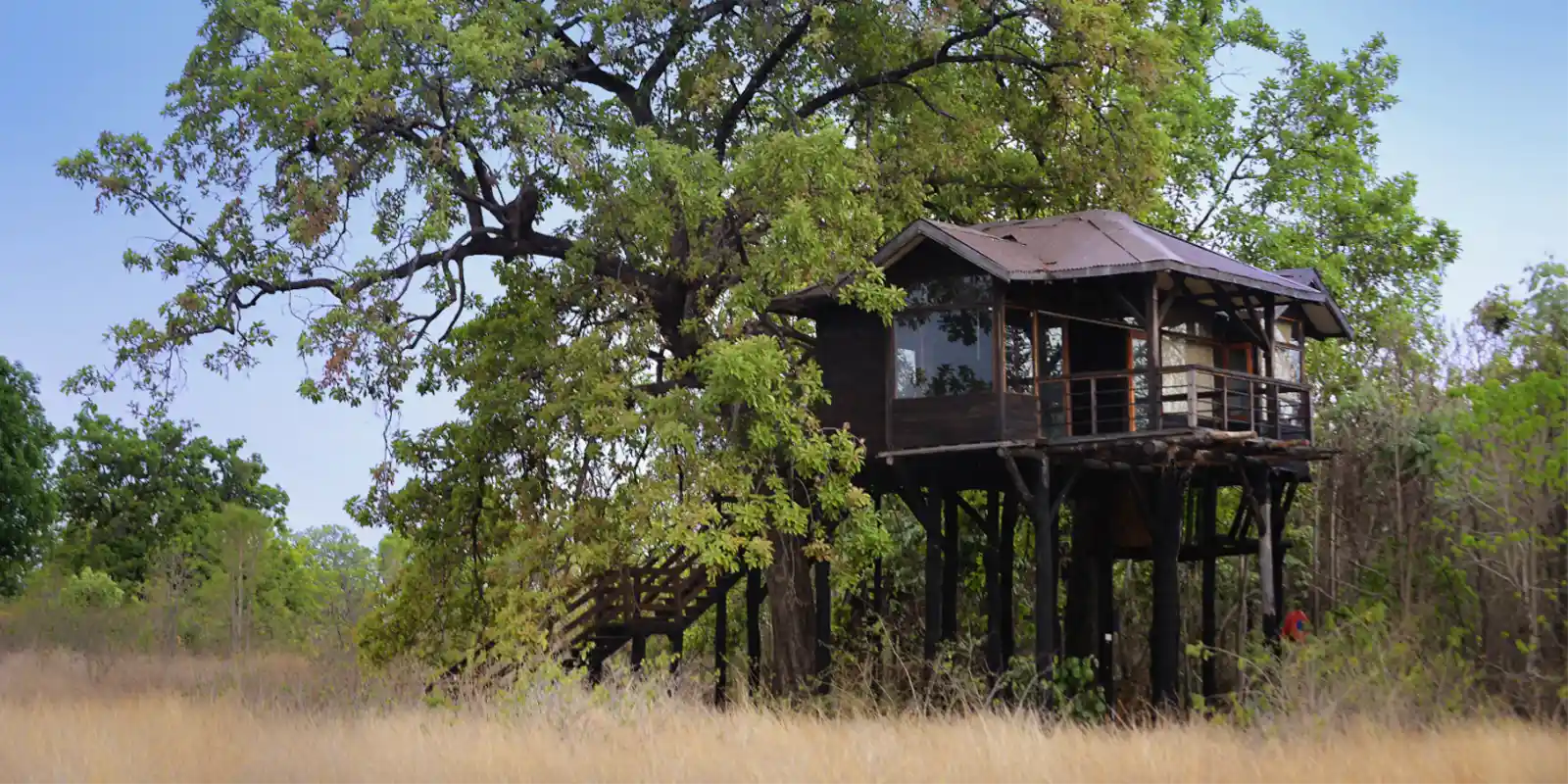 The tree house at Pench Tree Lodge.