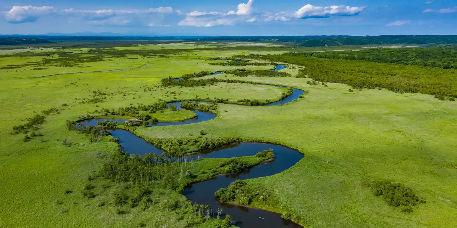 Aerial view of Kushiro-shitsugen National Park during summer, in Kushiro, Hokkaido, Japan.
