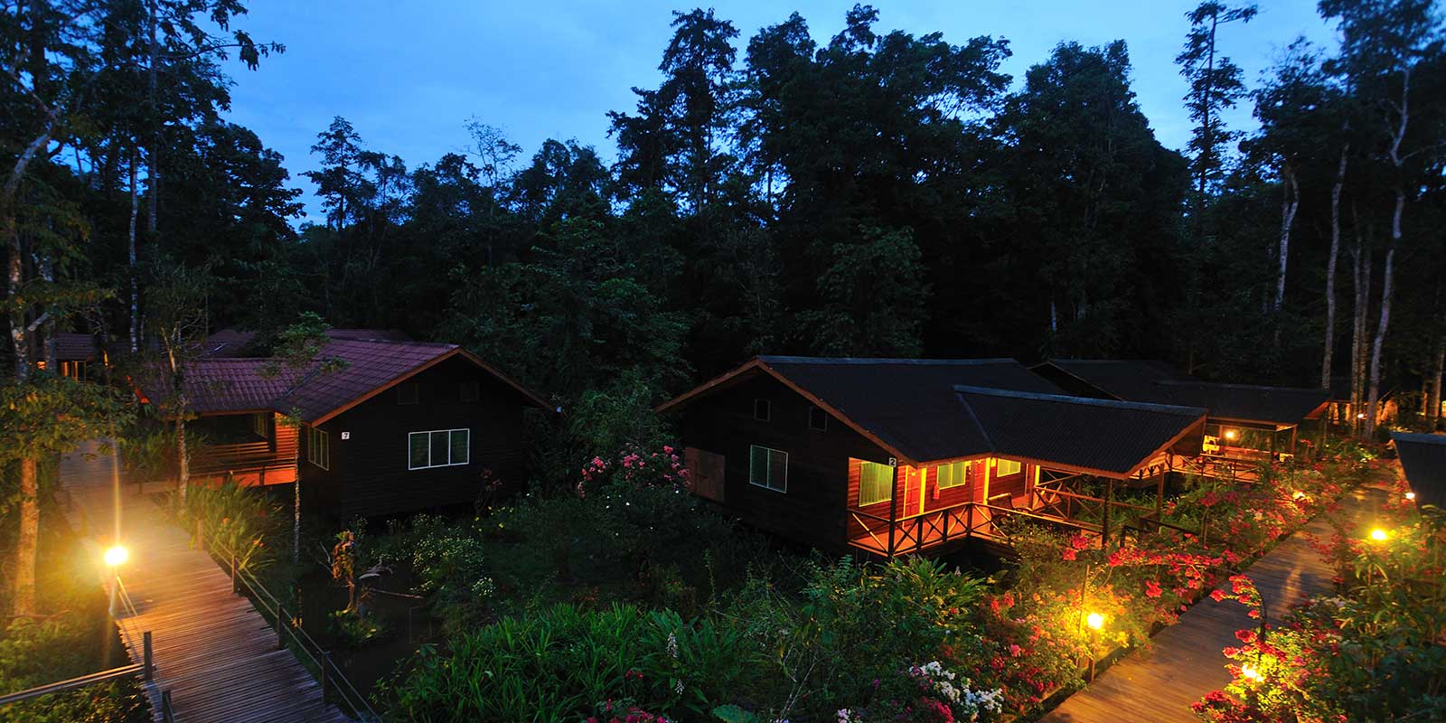 Abai Jungle Lodge exterior at night