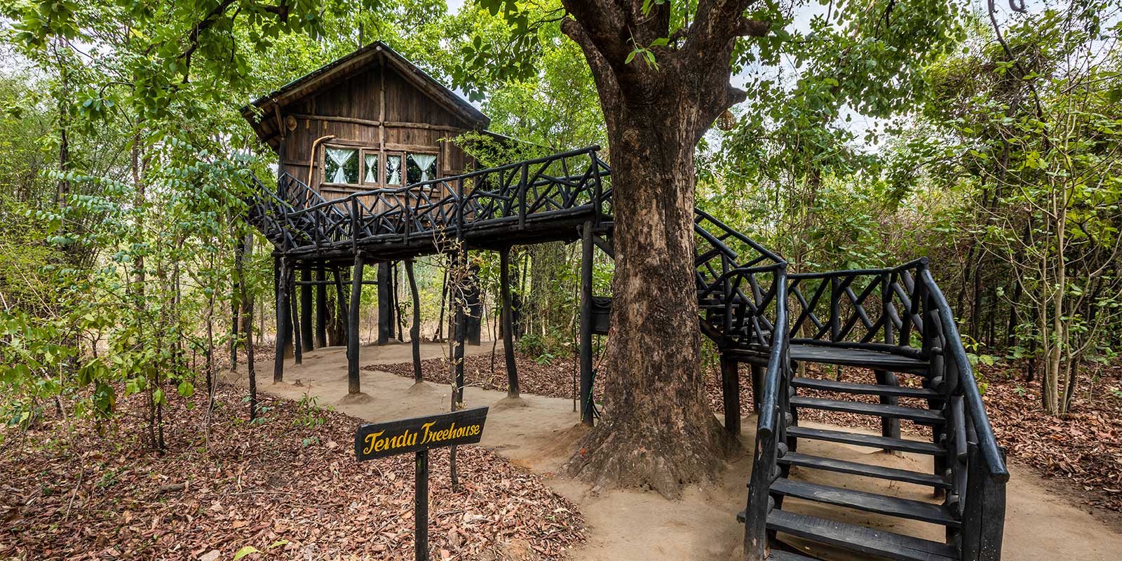 Tree House Hideaway in Bandhavgarh National Park, India