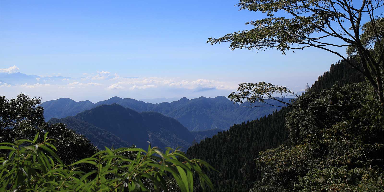 Dasyueshan Forest Recreation Area, Taiwan