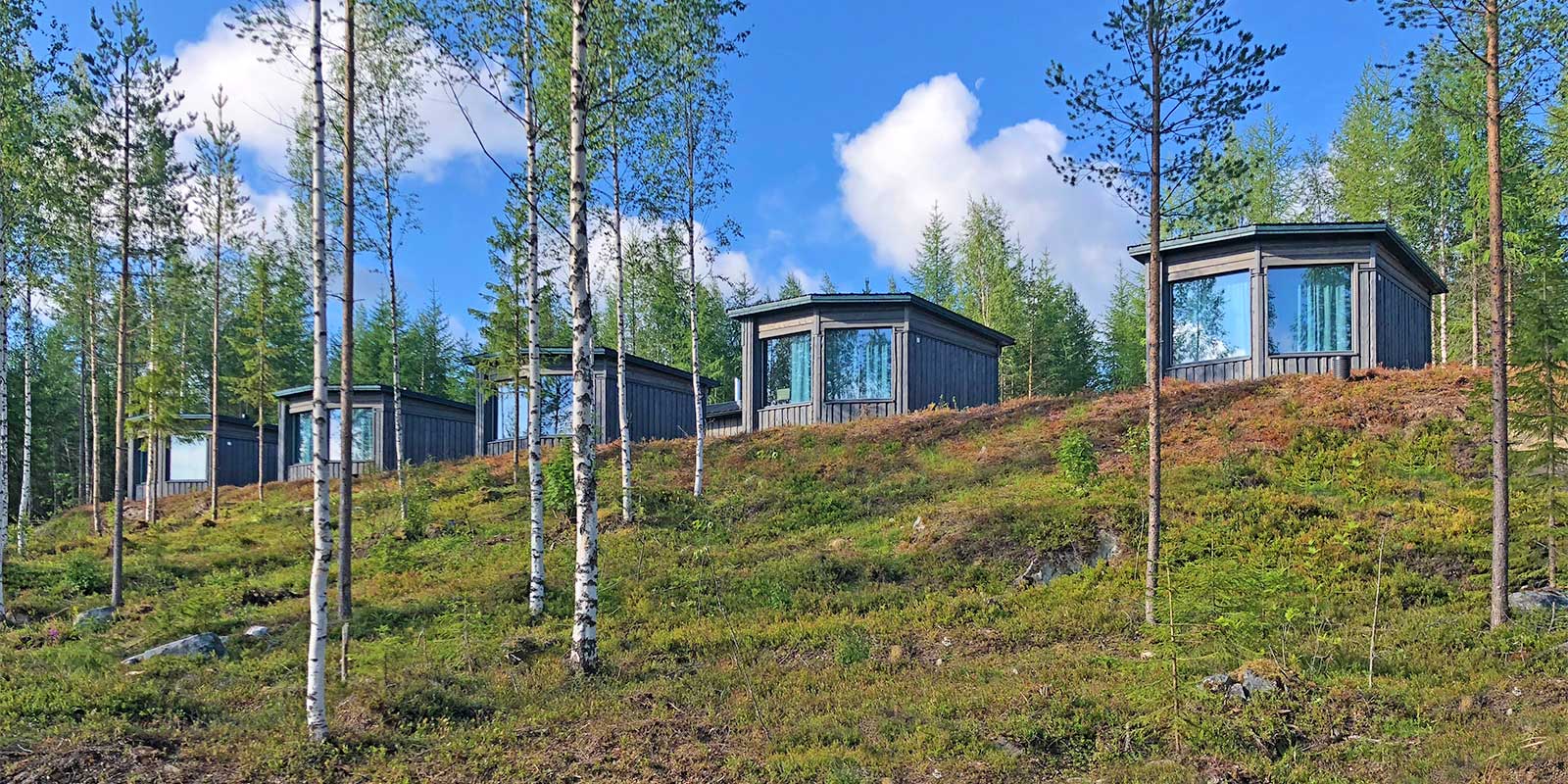 Bear Centre Luxury Cabins in Kainuu, Finland