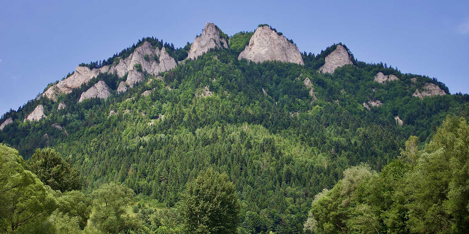 Pieniny mountains in Poland.
