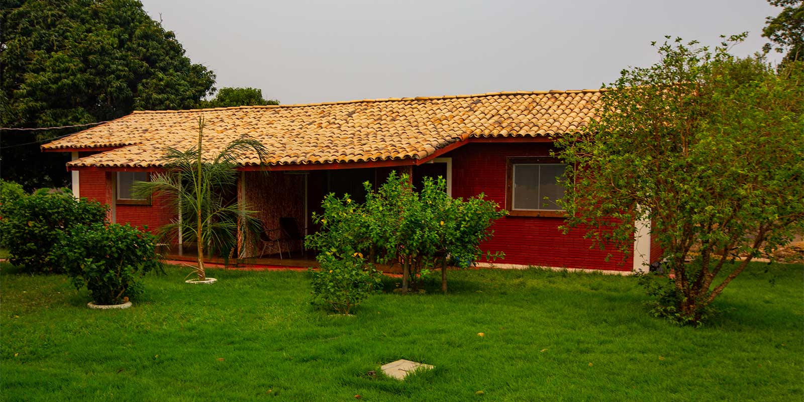 Jaguar Retreat in the Pantanal, Brazil