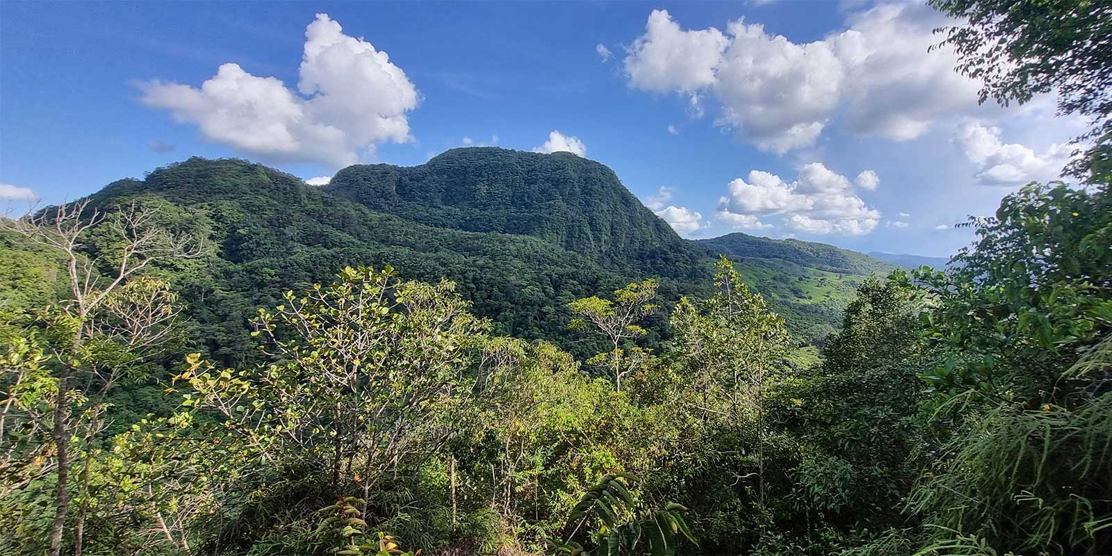 Landscape in Colombia