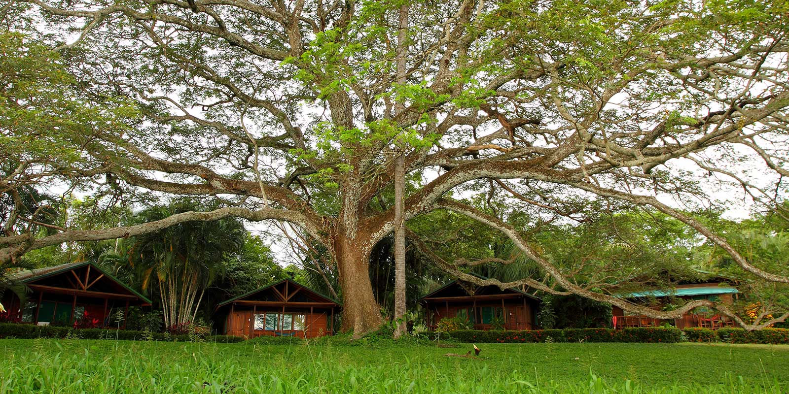 Exterior of La Ensenada Lodge in Costa Rica.