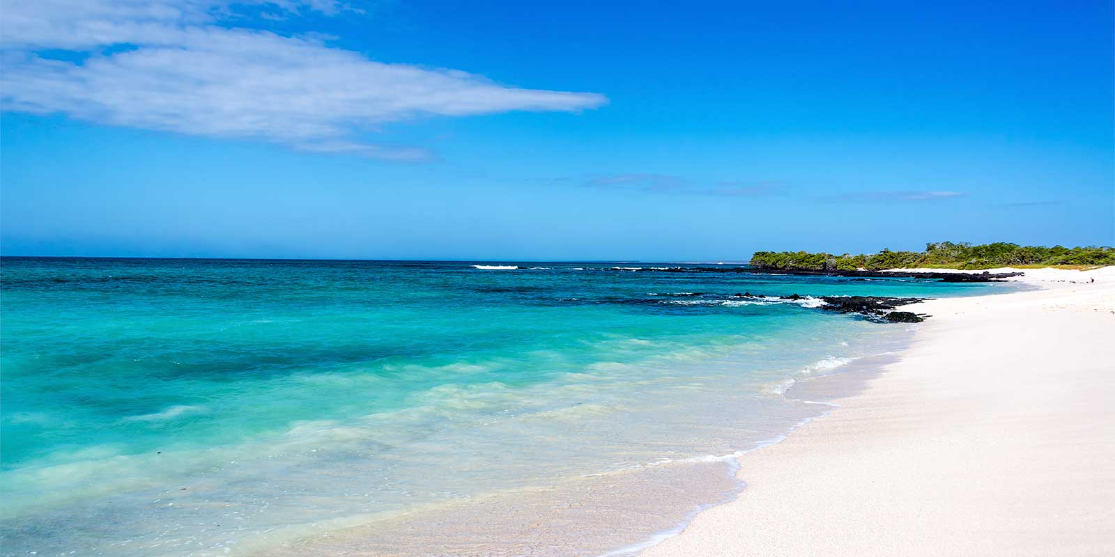 Santa Cruz in the Galapagos Islands