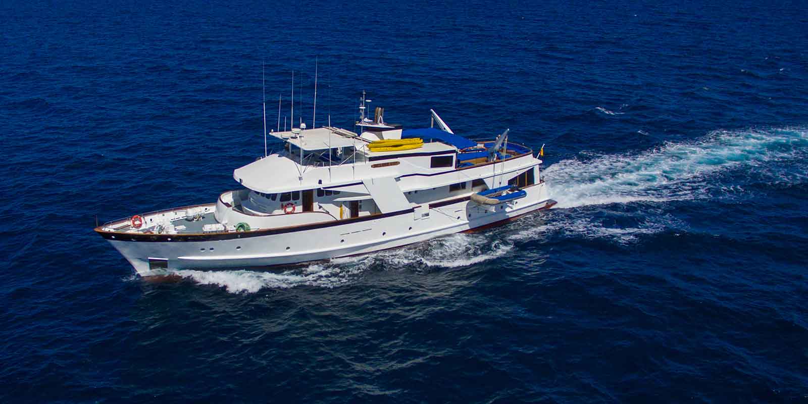 Beluga, Galapagos Islands
