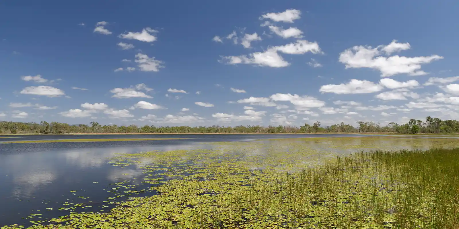 View of Mareeba Wetlands Reserve, Australia