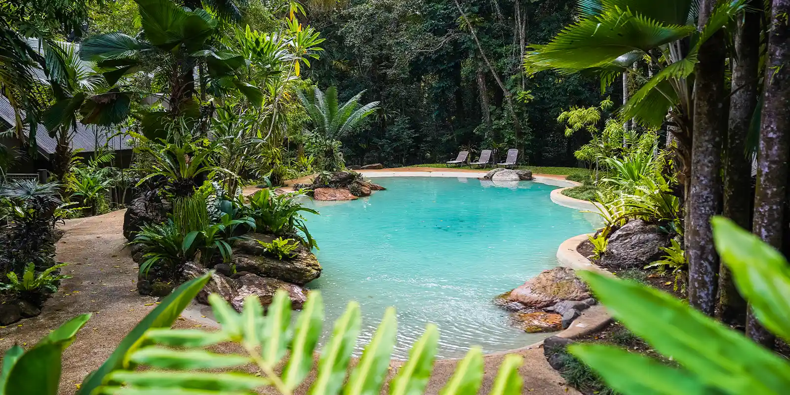 View of the swimming pool at Ferntree Rainforest Lodge