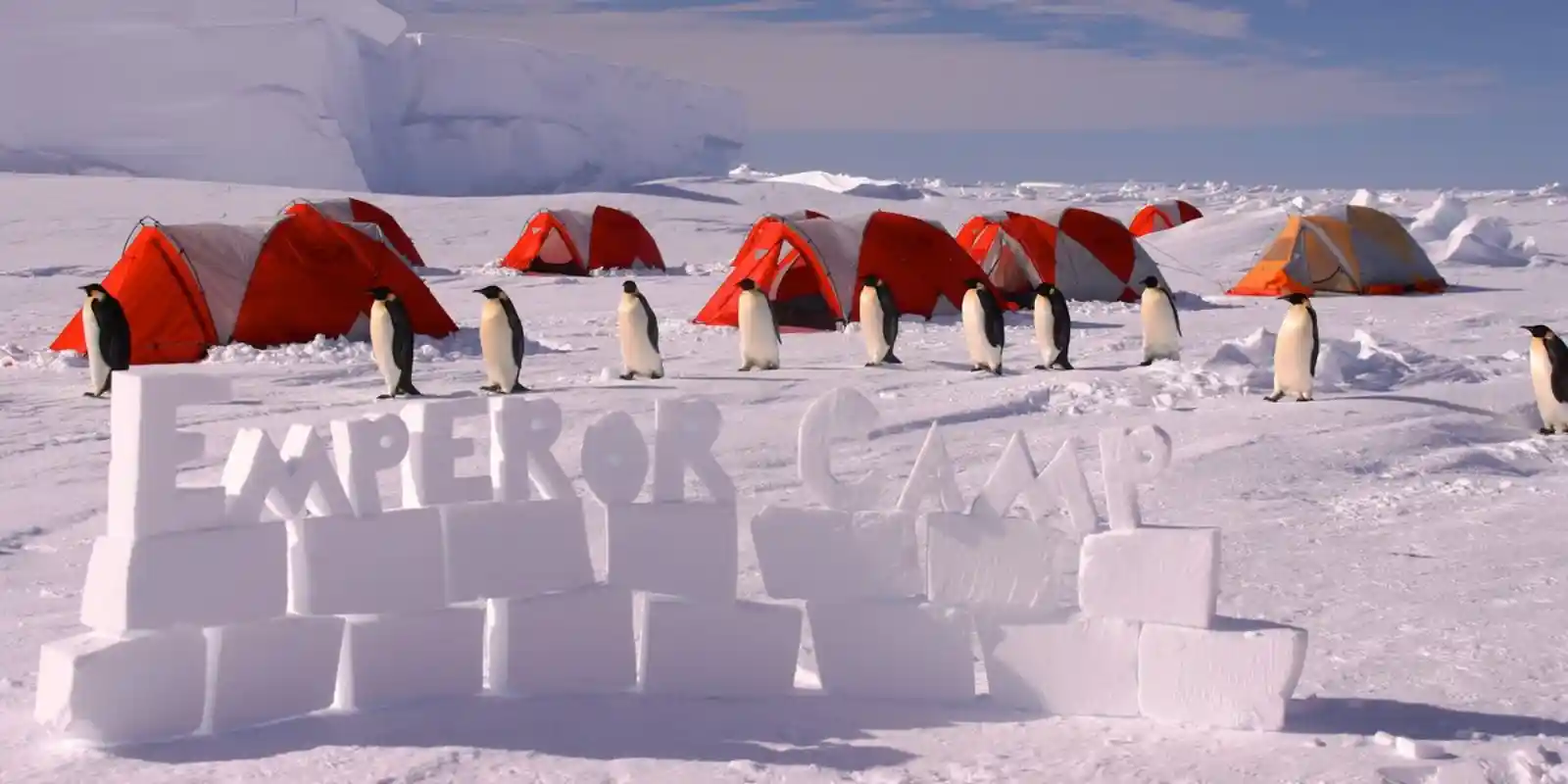 Gould Bay Emperor Penguin Camp name made out of ice, with penguins and tents in the background.