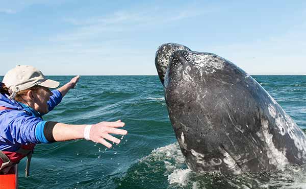 wildlife tourism website wildlife tourism website