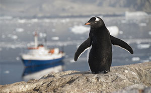 wildlife tourism website wildlife tourism website