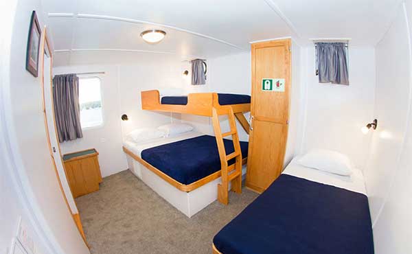 Cabin on board Cachalote Explorer