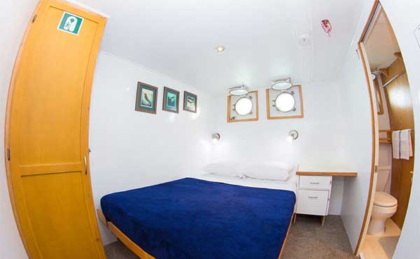 Double cabin on board Cachalote Explorer