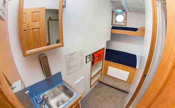 Twin cabin on board Cachalote Explorer