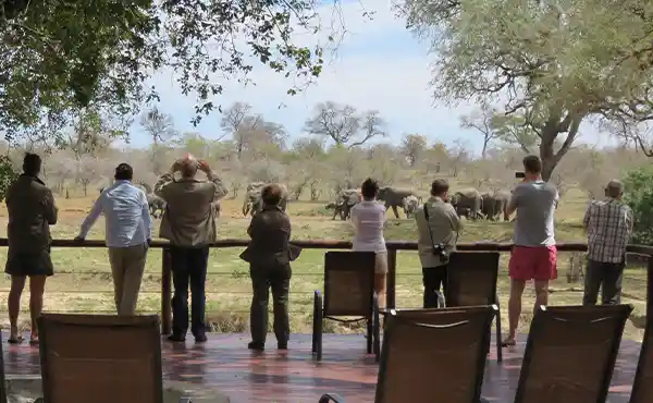 Senalala Safari Lodge