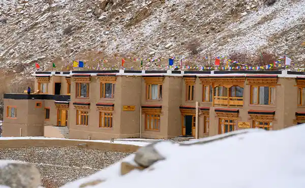Snow Leopard Lodge
