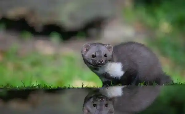 Edotopia Nature Reserve