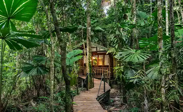 Daintree Wilderness Lodge