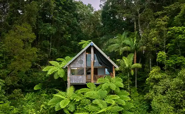 Rose Gums Wilderness Retreat