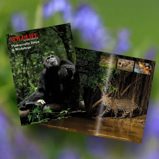 Front cover and page spread of Wildlife Worldwide photography brochure - 2026 edition