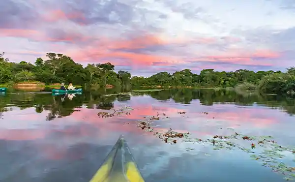 Fazenda Barranco Alto