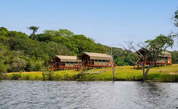Loango Savannah Camp