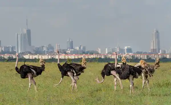 Nairobi