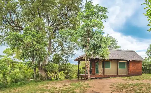 Shindzela Tented Safari Camp