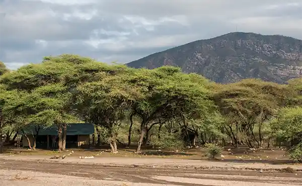 Salei Plains Mobile Tented Camp