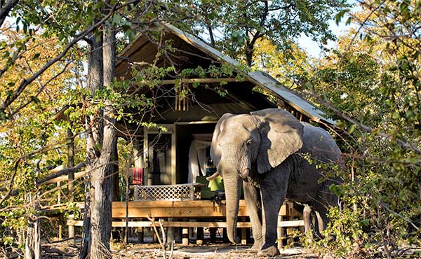 Hyena Pan Tented Camp