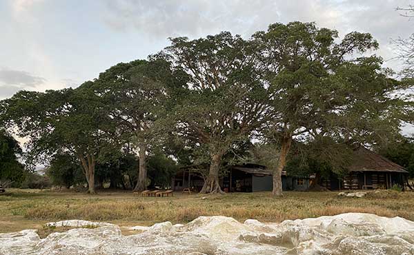 Hara Langano Eco Lodge
